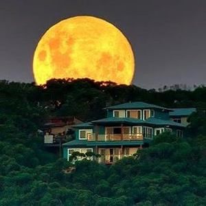 Meet your Posher, Angel